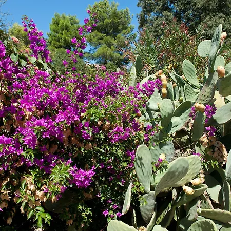 A Mare Hotel Ostuni
