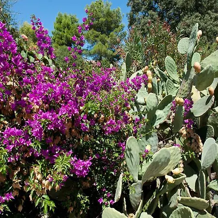 A Mare Ostuni